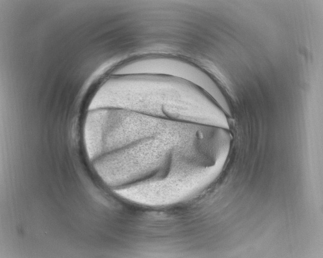 X0000115060392200911231219