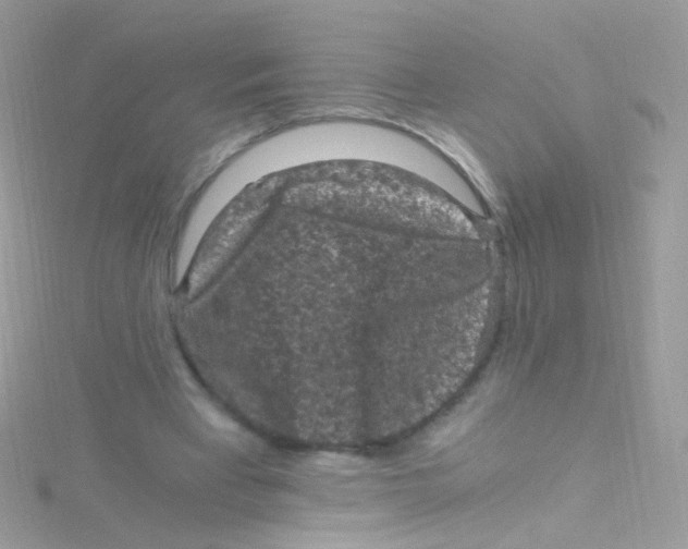 X0000115060393200911231219