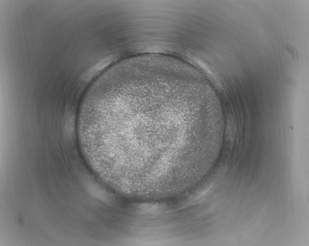 X0000115060394200911231219