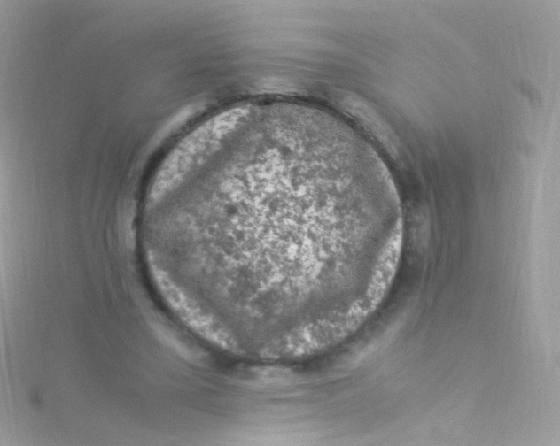 X0000115060395200911231219