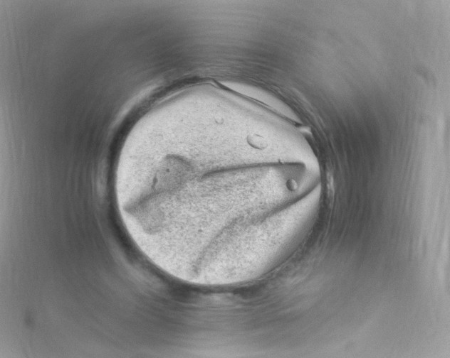 X0000115060396200911231219