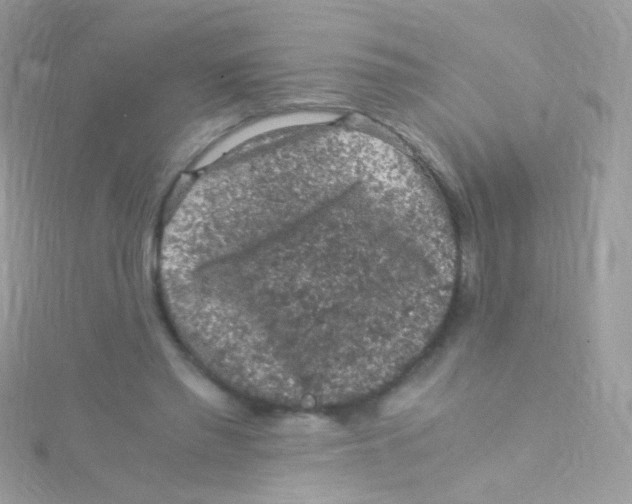 X0000115060397200911231219