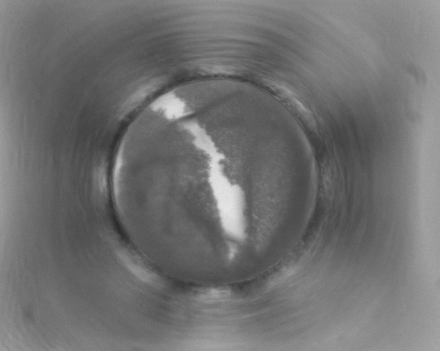 X0000115060398200911231219