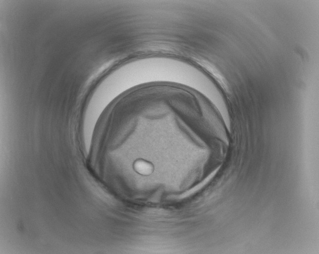 X0000115060399200911231219