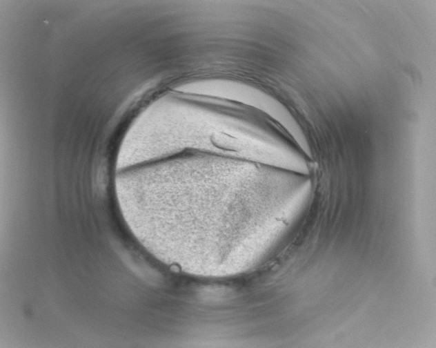 X0000115060400200911231219