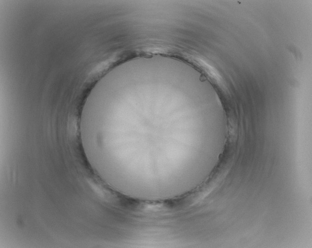 X0000115060401200911231219