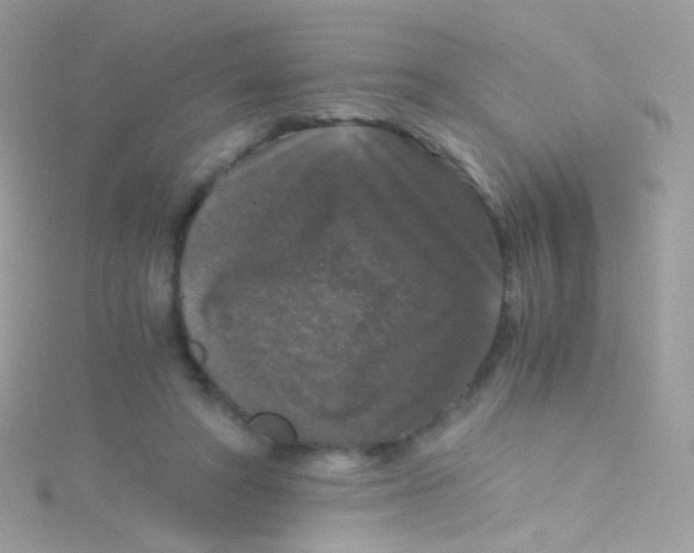 X0000115060402200911231219