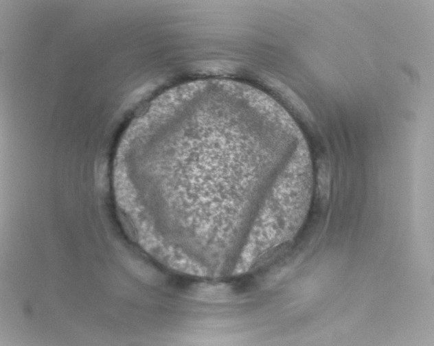 X0000115060403200911231219