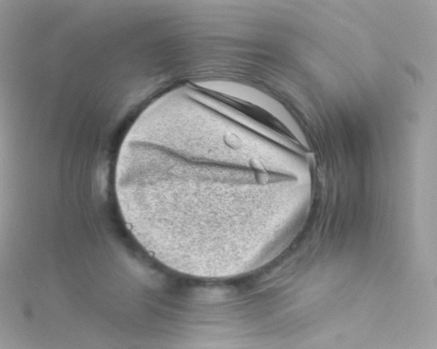 X0000115060404200911231219