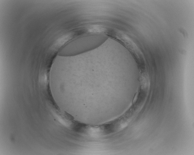 X0000115060405200911231219