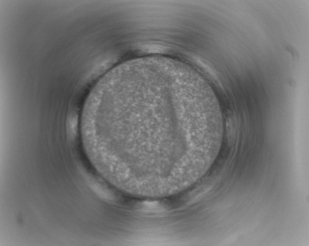 X0000115060406200911231219