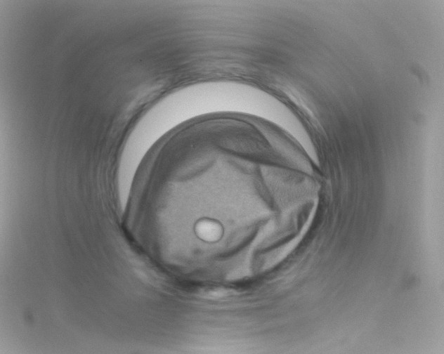 X0000115060407200911231219