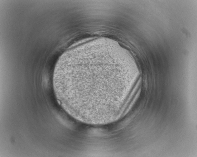 X0000115060408200911231219