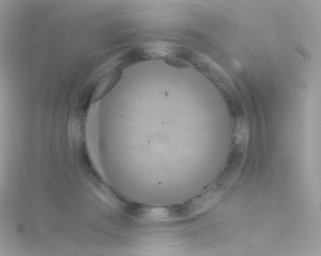 X0000115060409200911231219