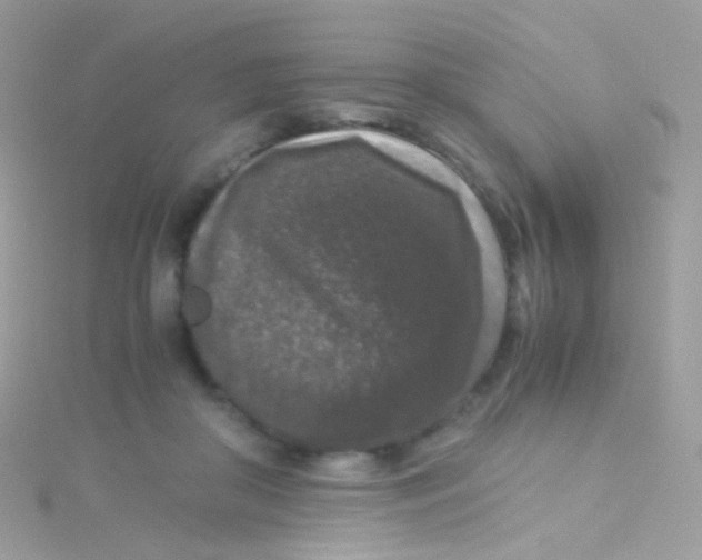 X0000115060410200911231219