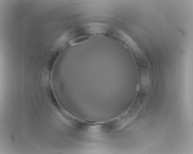 X0000115060411200911231219