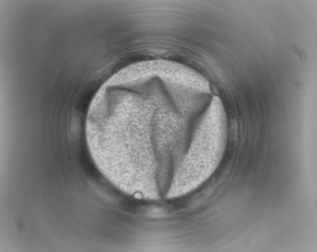 X0000115060412200911231219