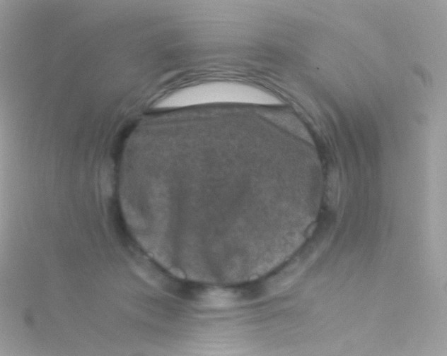 X0000115060413200911231219