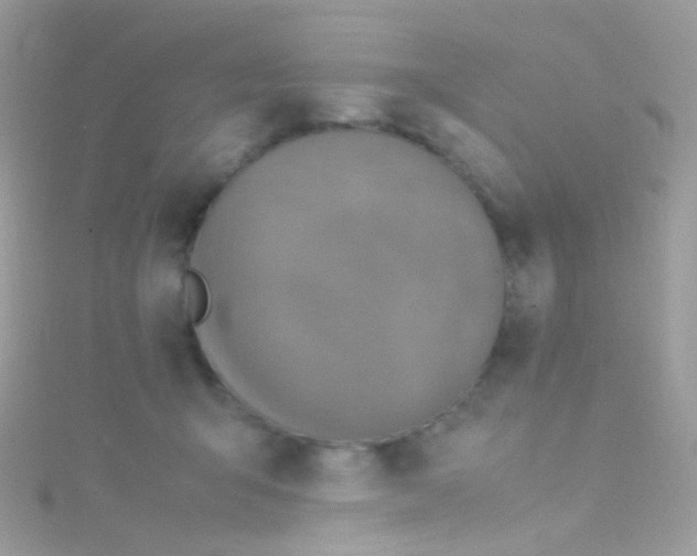 X0000115060415200911231219