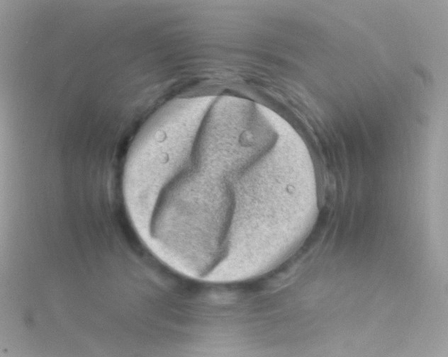 X0000115060416200911231219