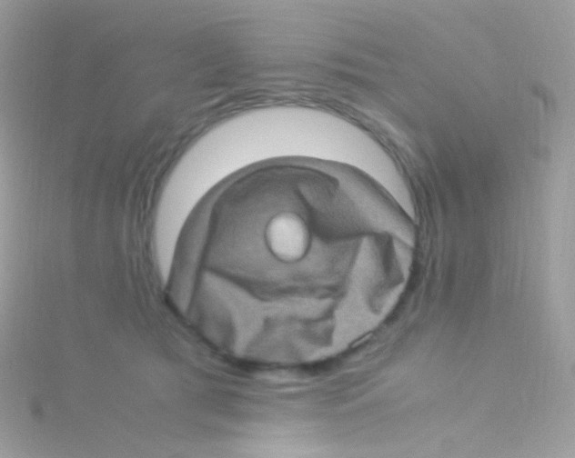 X0000115060417200911231219