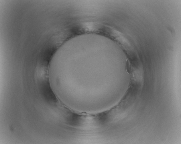 X0000115060419200911231219