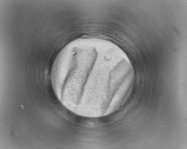 X0000115060420200911231219