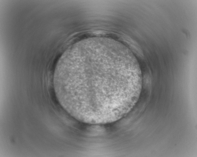 X0000115060421200911231219