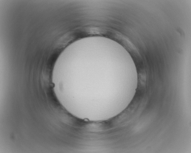 X0000115060422200911231219