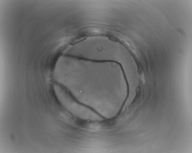 X0000115060423200911231219