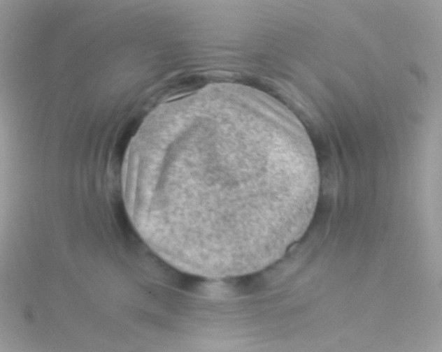 X0000115060425200911231219