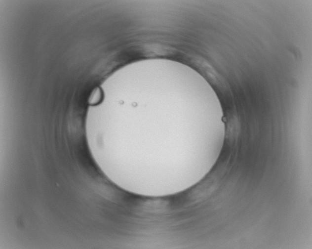 X0000115060426200911231219