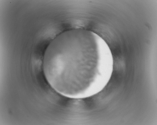 X0000115060427200911231219