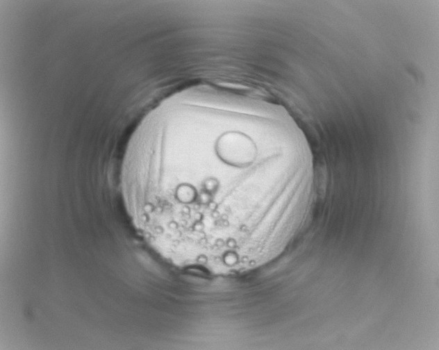 X0000115060428200911231219