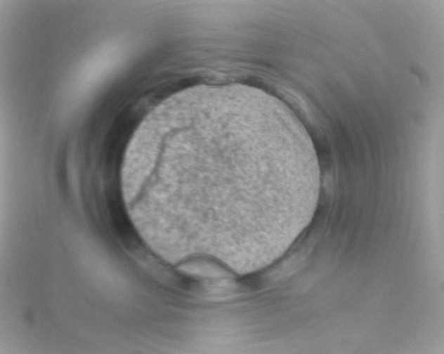 X0000115060429200911231219