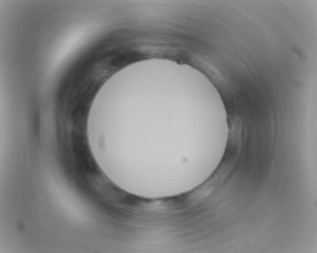 X0000115060430200911231219