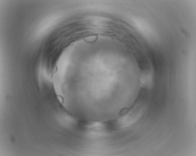 X0000115060431200911231219