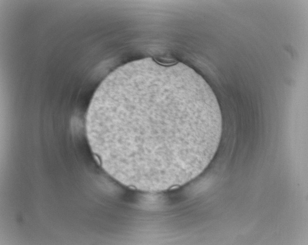 X0000115060432200911231219