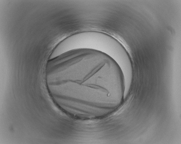 X0000115060433200911231218