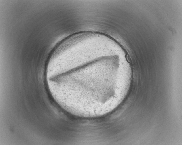 X0000115060434200911231218