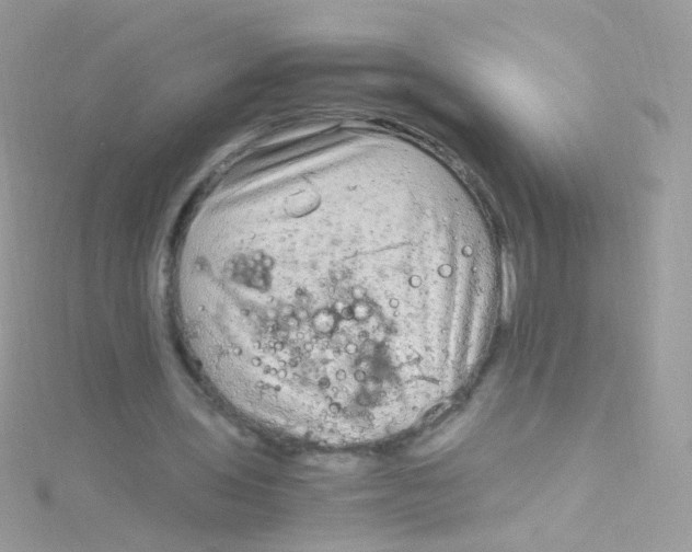 X0000115060435200911231218