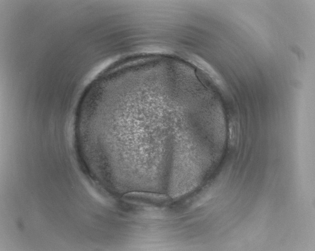 X0000115060436200911231218