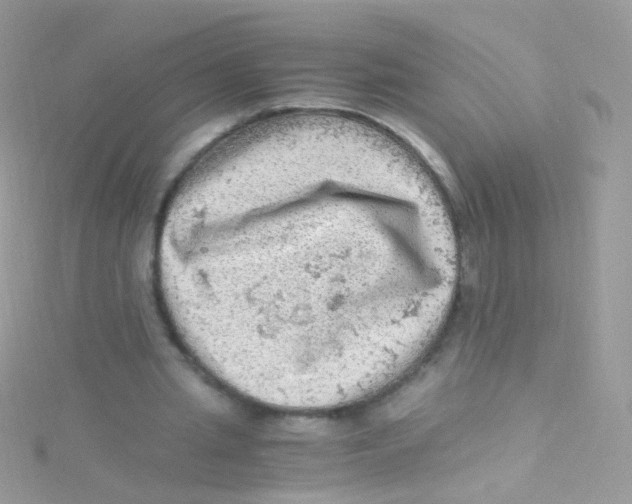 X0000115060437200911231218