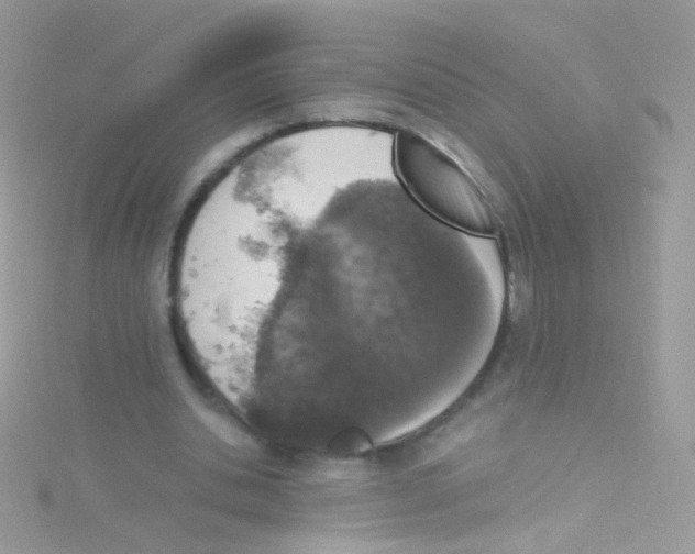 X0000115060438200911231218