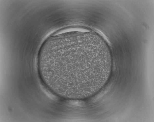 X0000115060439200911231218