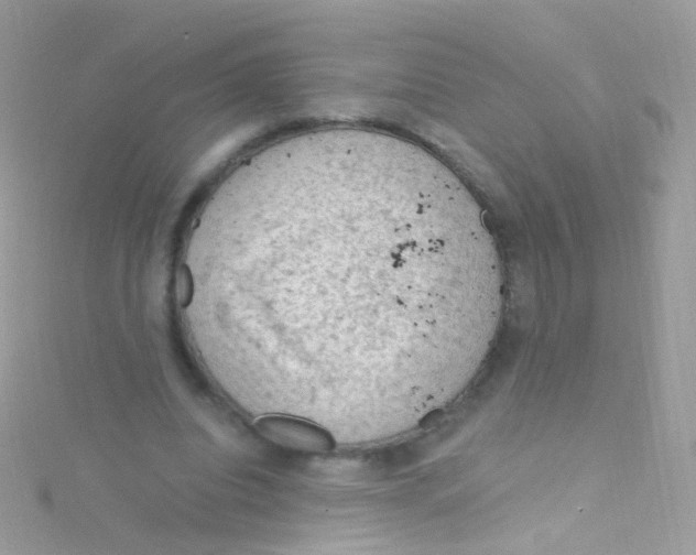 X0000115060440200911231218