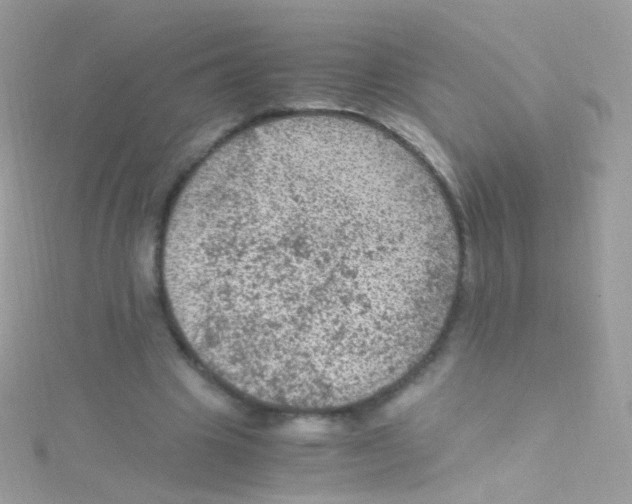 X0000115060441200911231218