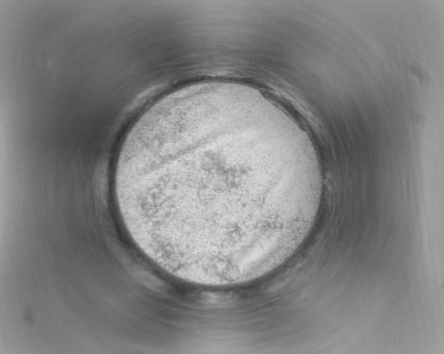 X0000115060442200911231218