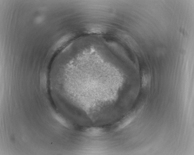 X0000115060444200911231218