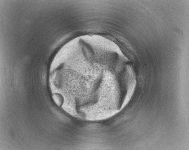 X0000115060446200911231218